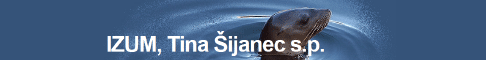 Izum, Tina Šijanec s.p.